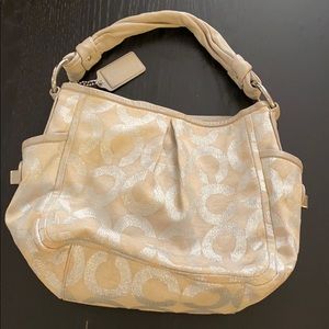 Gray Coach Purse
